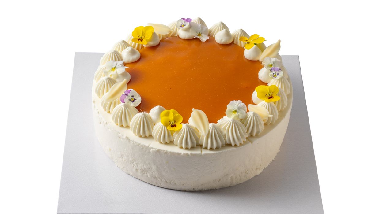 Dort meruňka / jogurt